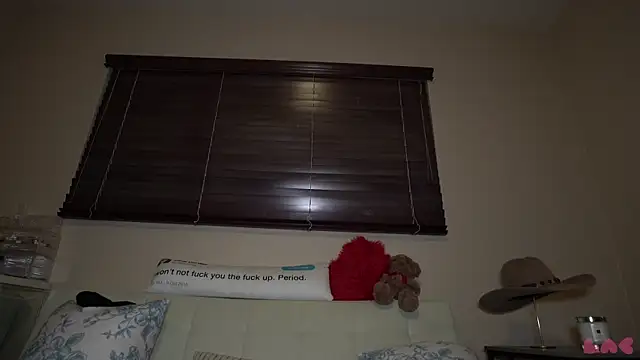 baedot webcam