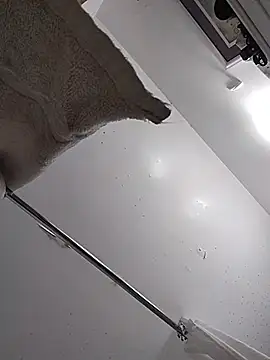 fleshforblood webcam