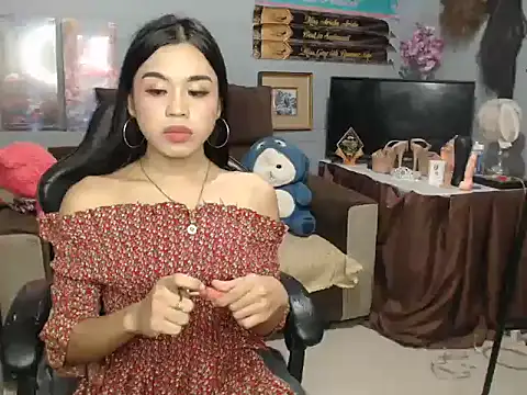 Salomesalvi webcam