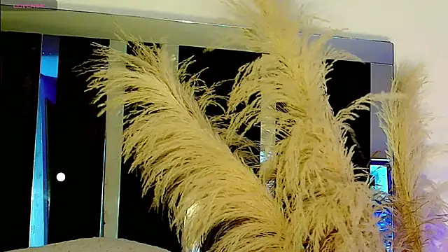 honey_skin live cam on StripChat
