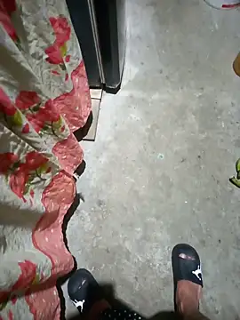pujarteag webcam