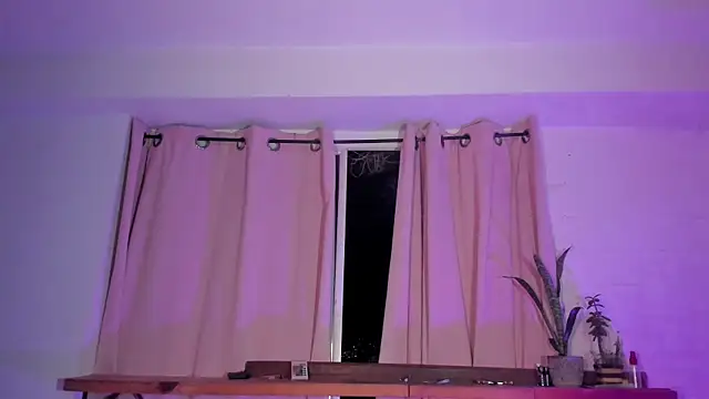 Theevae webcam
