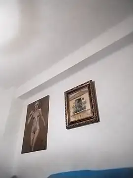 anastasiadaniela webcam