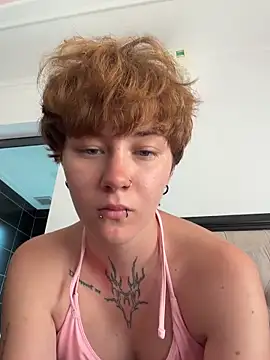 IceMur webcam