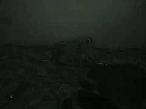 Sexycarinah_ webcam