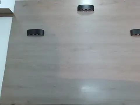 AshleySofiaThenison webcam