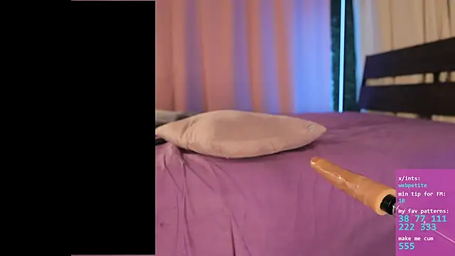 webpetite