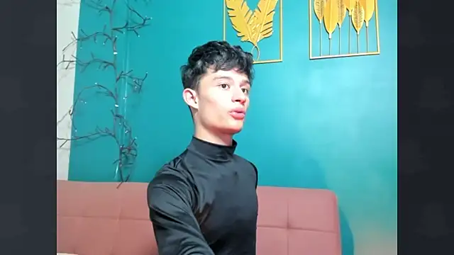 Patrick_Howland_ webcam