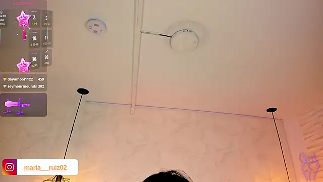 PAULETEJOHNSON webcam