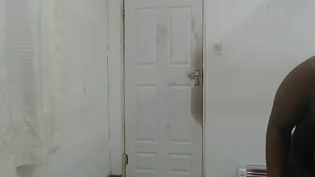 Camila2x webcam