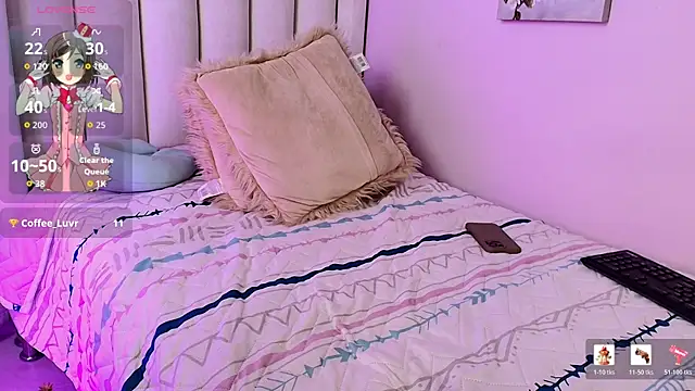 Mhia_palmer webcam