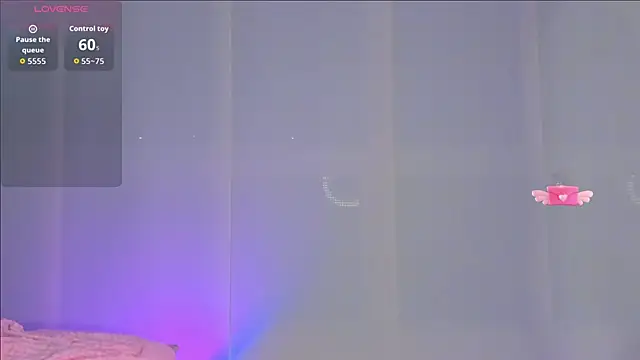 Vahl_- webcam