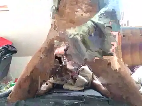 Bigboadick live cam on StripChat