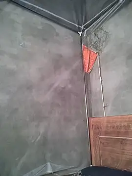 Want-fun webcam