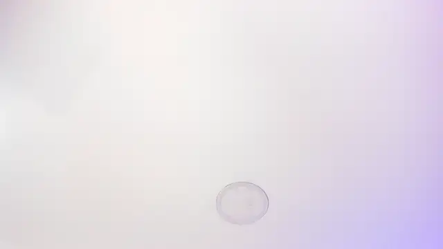 camile_row webcam