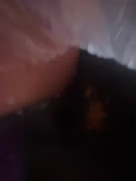 christinamoon0612 webcam