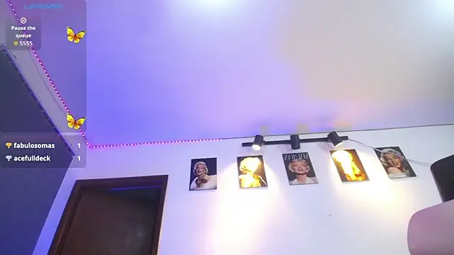 shellsy_hans webcam