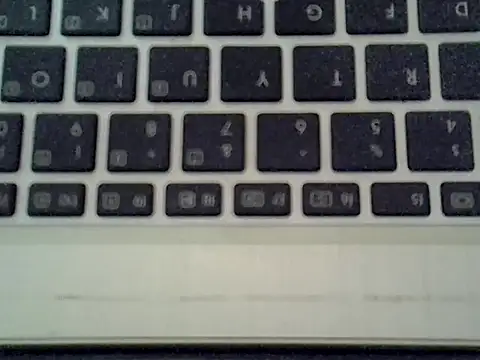 Delicious-D webcam