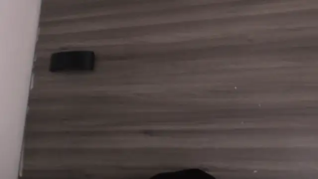 SashaNova webcam