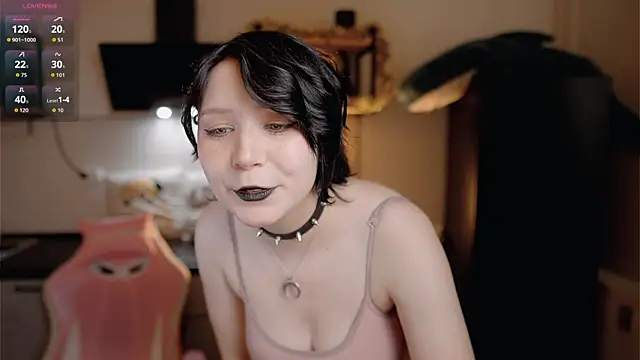 Nickari webcam