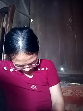 toyo_668 webcam