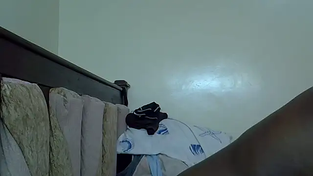 ndibo1523 webcam
