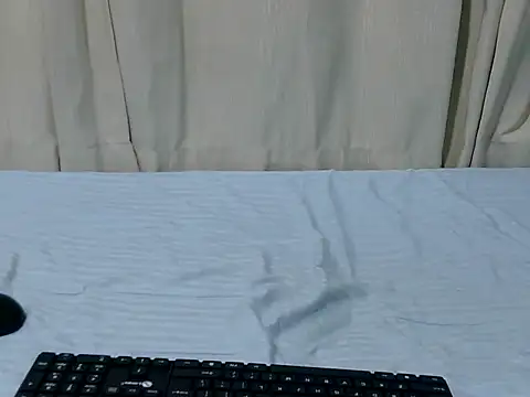 leestyline webcam