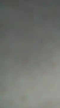 evazul webcam