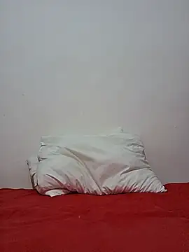 altinya webcam