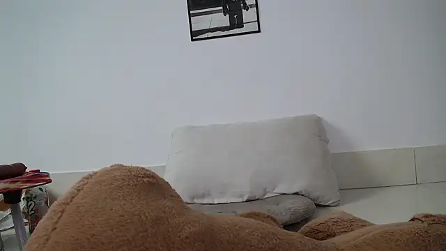 Grass_99 webcam