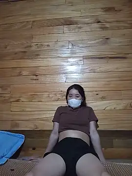 Td3di webcam