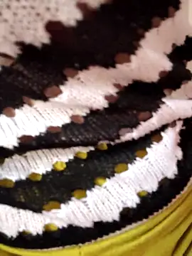 -Tara-a webcam