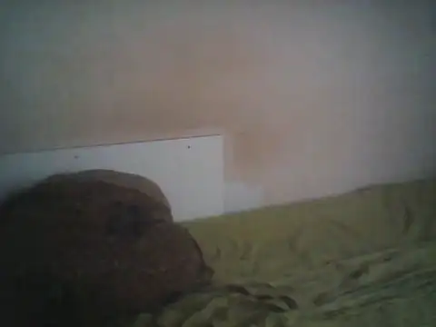 MattedOdobenus webcam