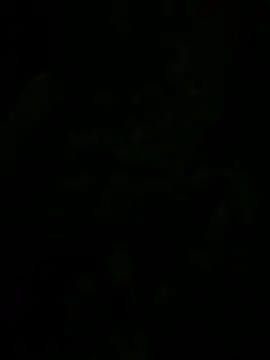 Big_dick_dog webcam