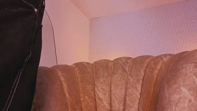 ryo_light webcam