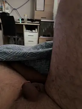 Laufla webcam