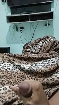 Novinhoie webcam