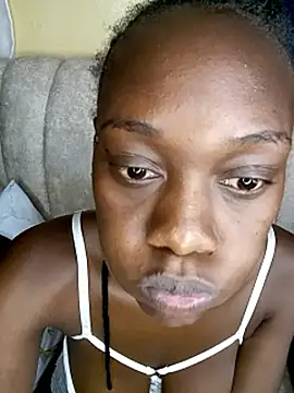 Paulahaze webcam