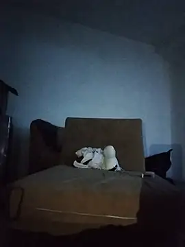 TuCanero23cm webcam