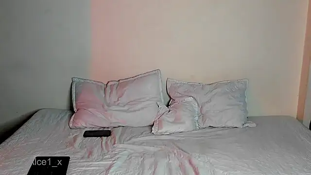 Alice_fox__- webcam