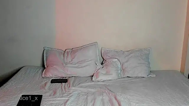 Alice_fox__- webcam