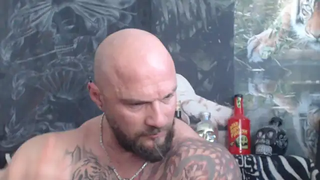 viking_30 webcam