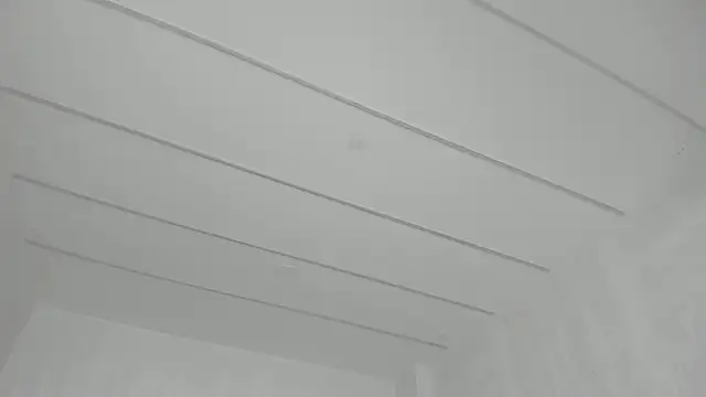 TiffanyHouston_ webcam
