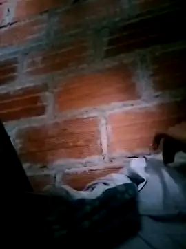 styu2001 webcam