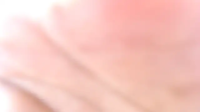 MassiveHorseCockTrans