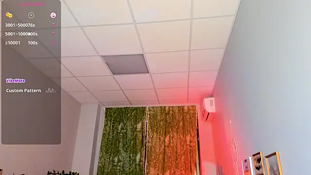 FlexyFox webcam