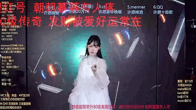 SK010 webcam