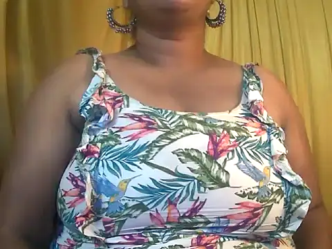 MISTI_KOLK webcam