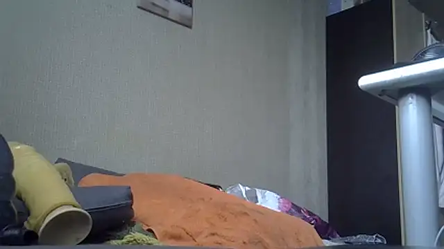 FISTCAMM webcam