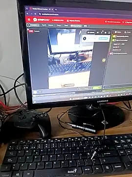 InnaLion webcam